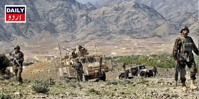 دہشتگردی
