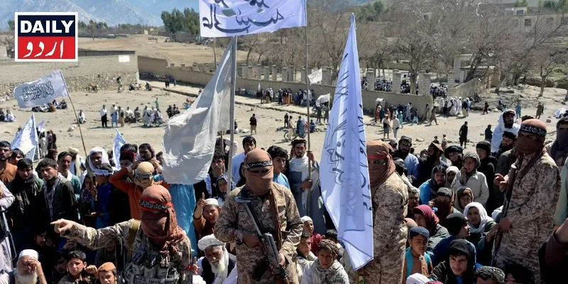 دہشتگردی