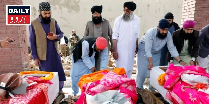 دہشتگردی