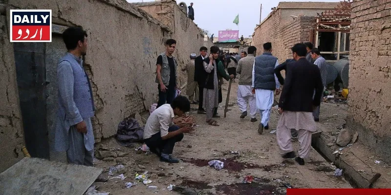 دہشتگردی
