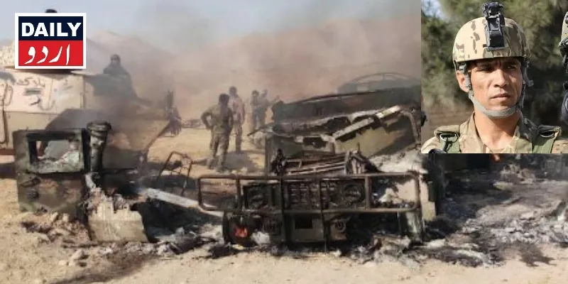 دہشتگردی