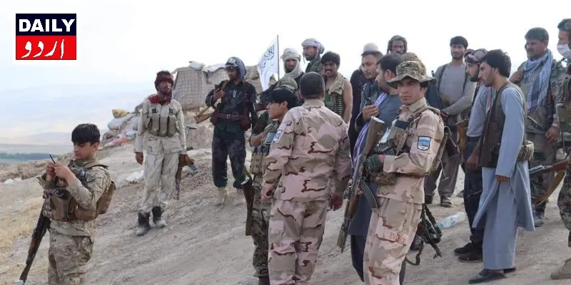 دہشتگردی