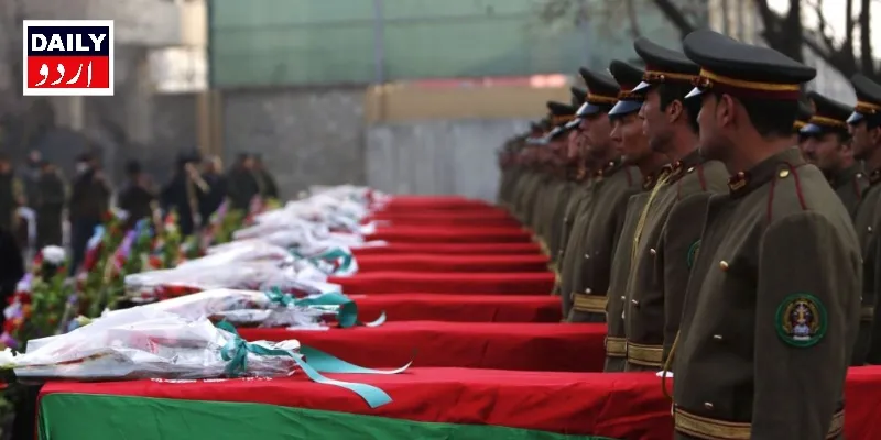 دہشتگردی