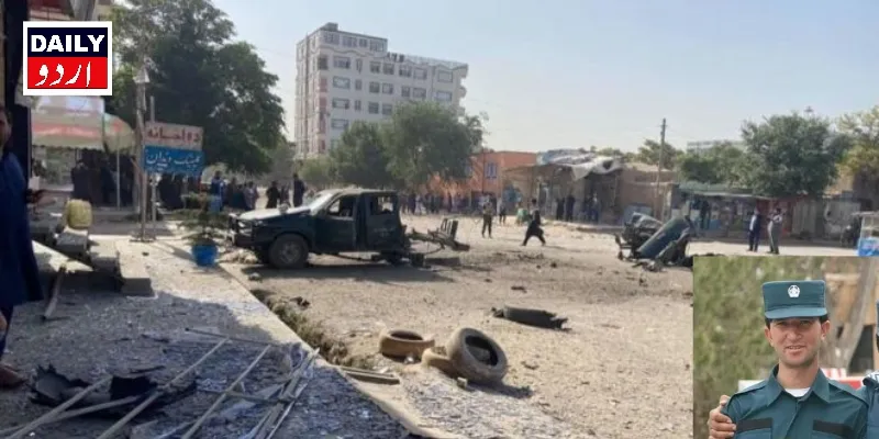دہشتگردی