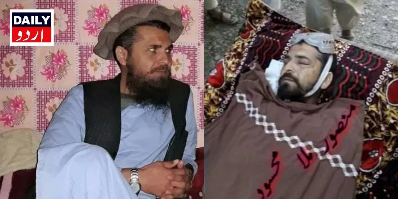 دہشتگردی