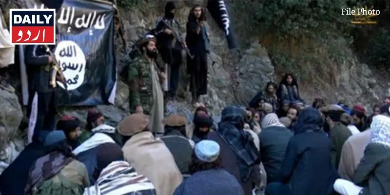 دہشتگردی