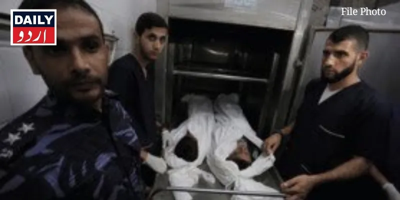 دہشتگردی