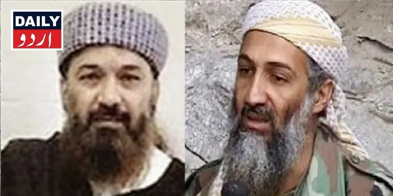 دہشتگردی