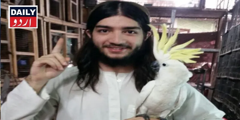 کورٹس