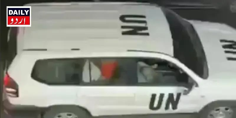 کرائمز