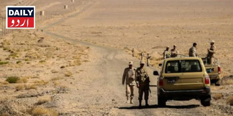دہشتگردی