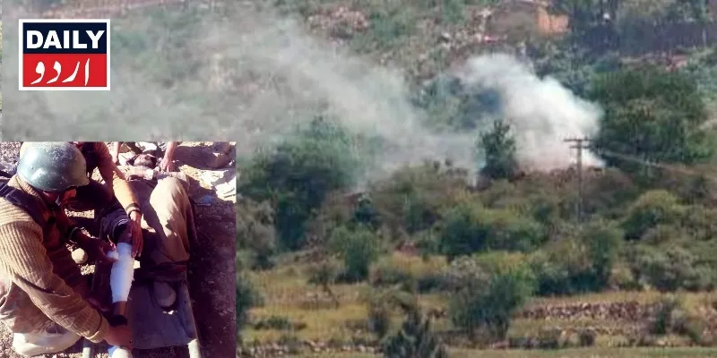 دہشتگردی