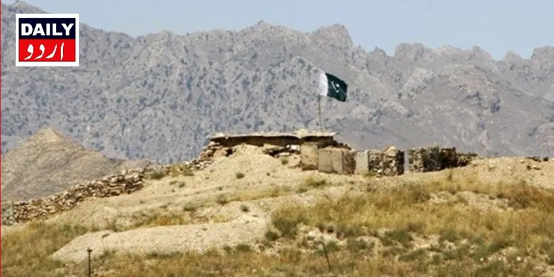 دہشتگردی
