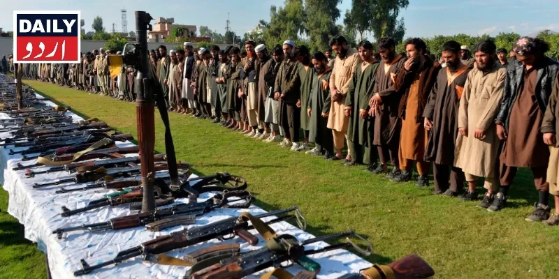دہشتگردی