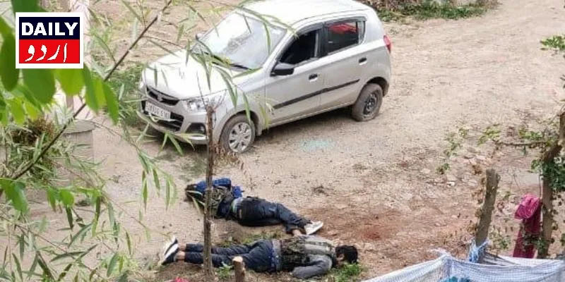 دہشتگردی