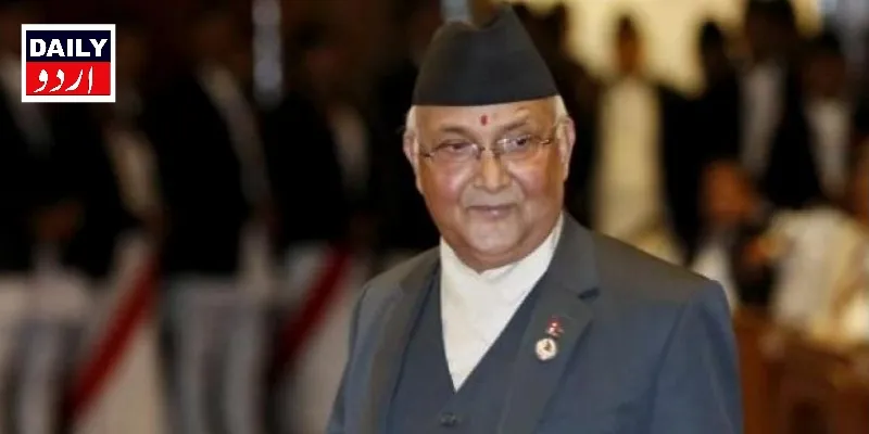 سیاست