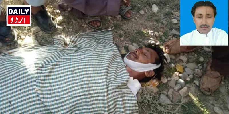 کرائمز
