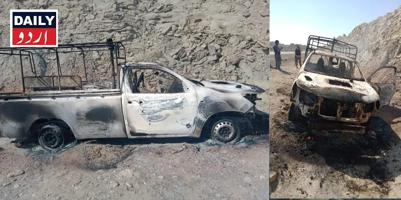 دہشتگردی