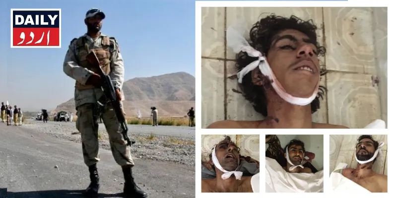 دہشتگردی