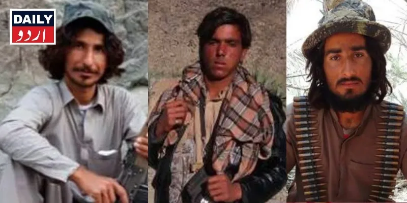 دہشتگردی