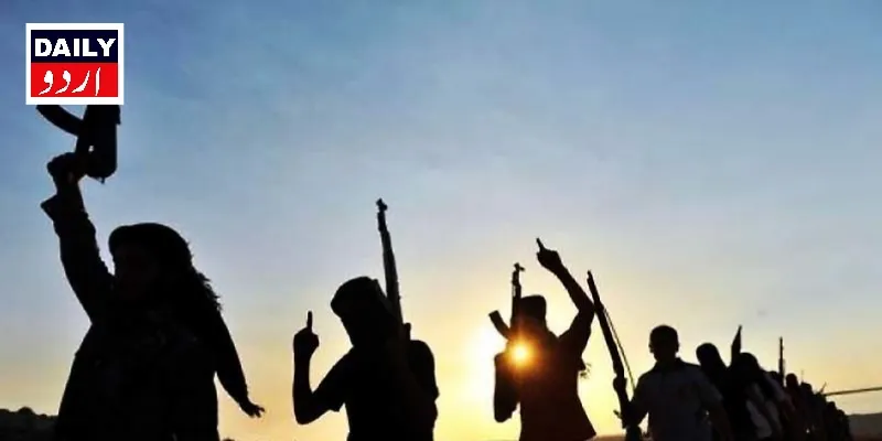 دہشتگردی