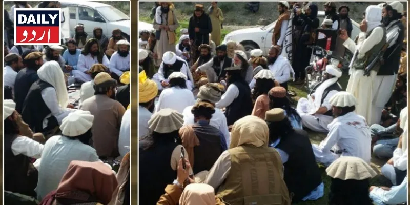دہشتگردی