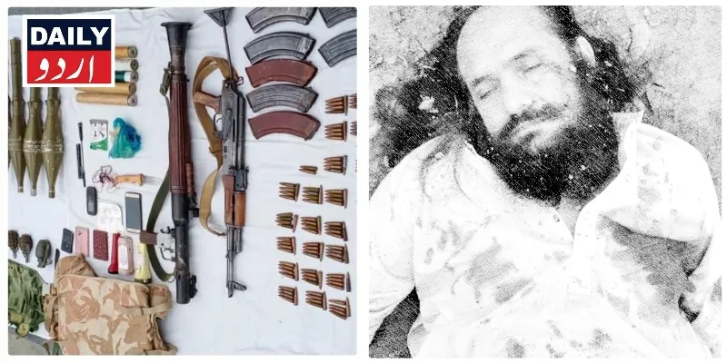 دہشتگردی