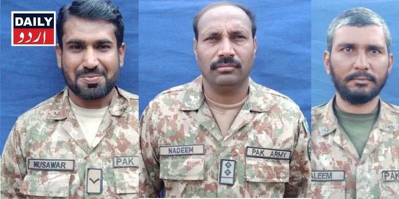دہشتگردی