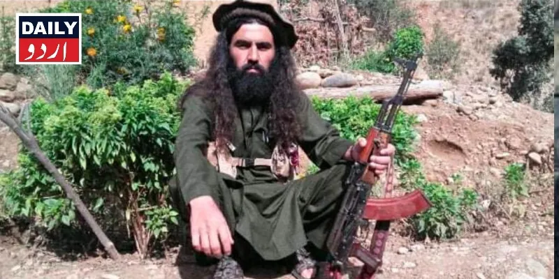 دہشتگردی