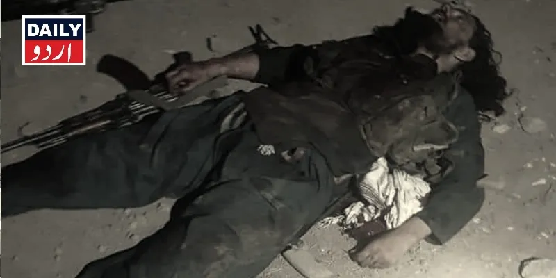 دہشتگردی