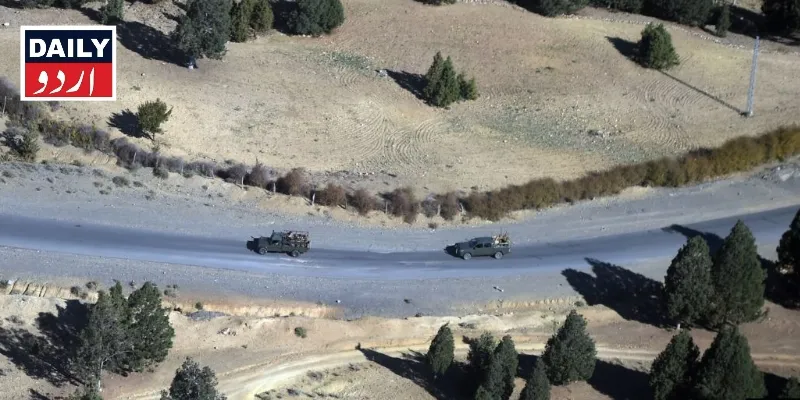 دہشتگردی