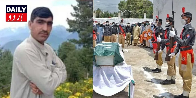 دہشتگردی