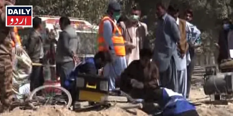 دہشتگردی