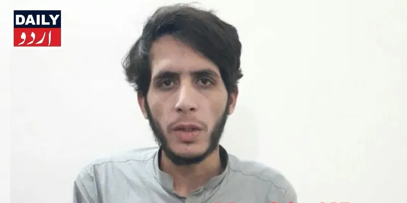 دہشتگردی