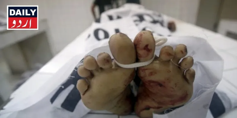 کرائمز