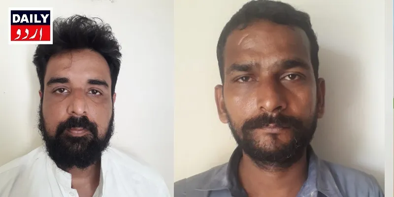 دہشتگردی