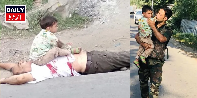 دہشتگردی
