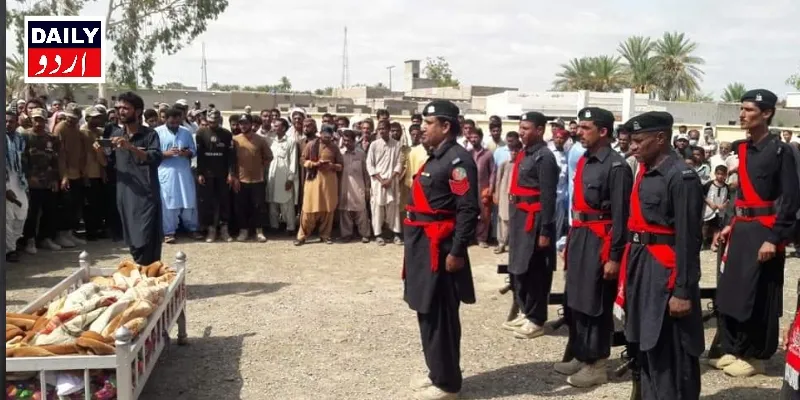 دہشتگردی