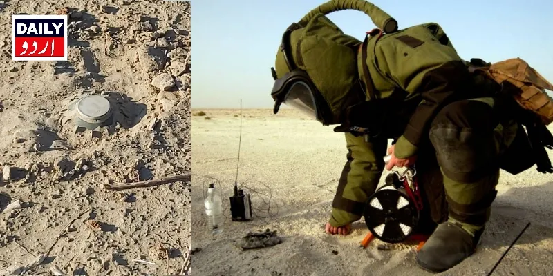 دہشتگردی