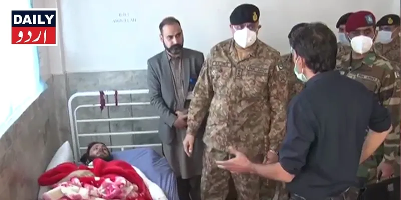 دہشتگردی