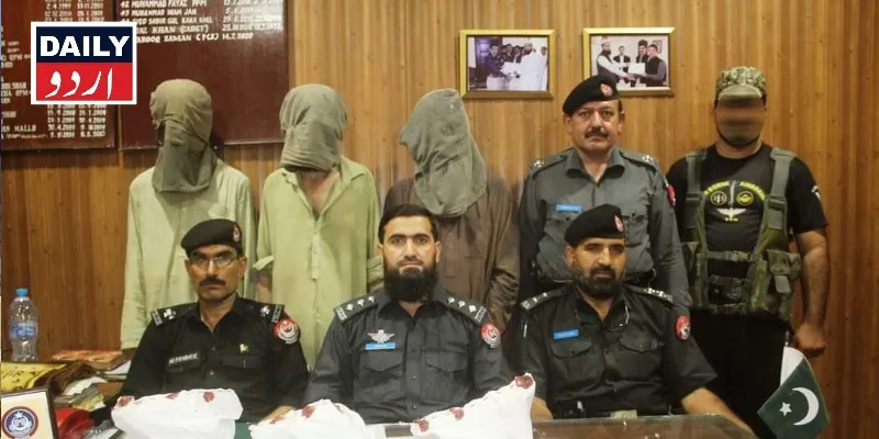 دہشتگردی
