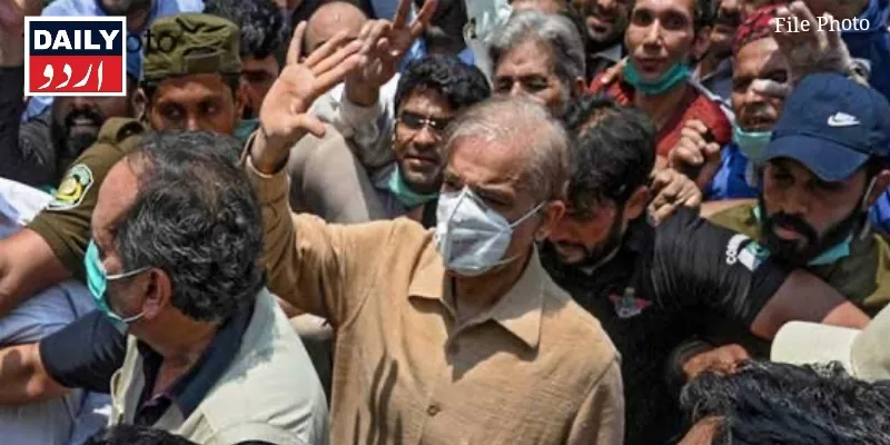 کورٹس