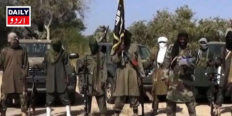دہشتگردی