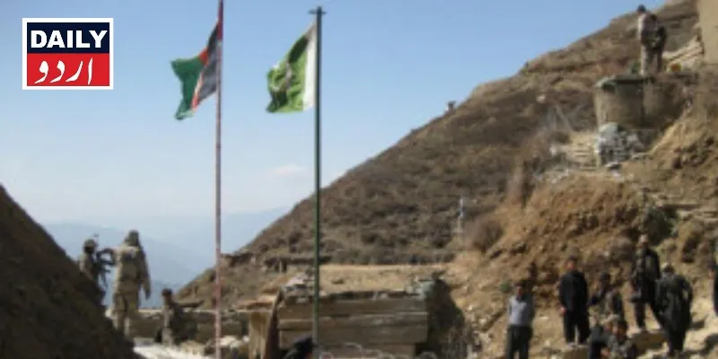 دہشتگردی