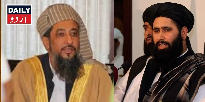 دہشتگردی
