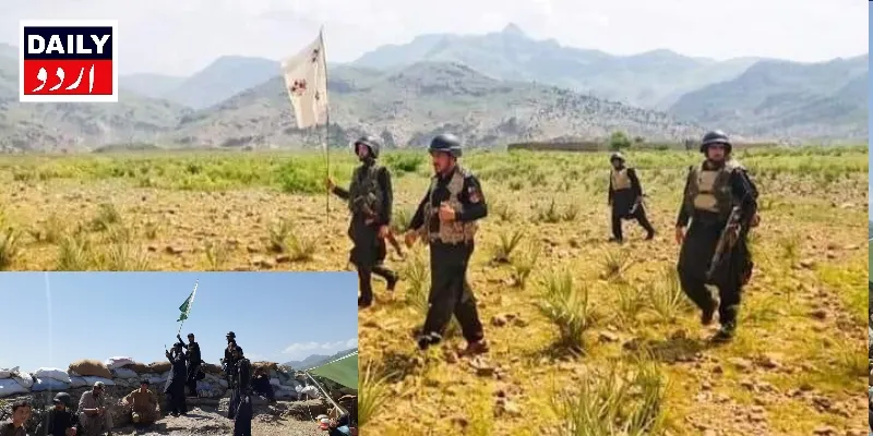 کرائمز