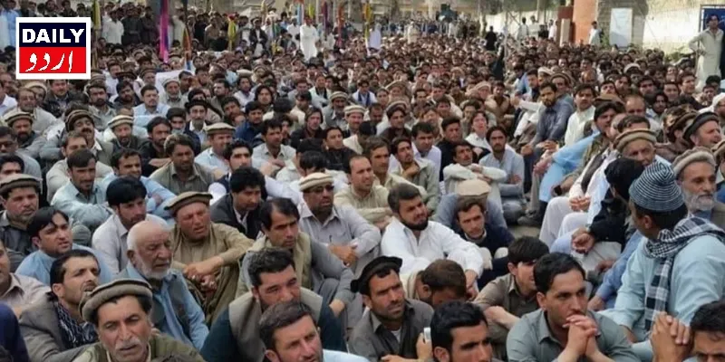 کرائمز