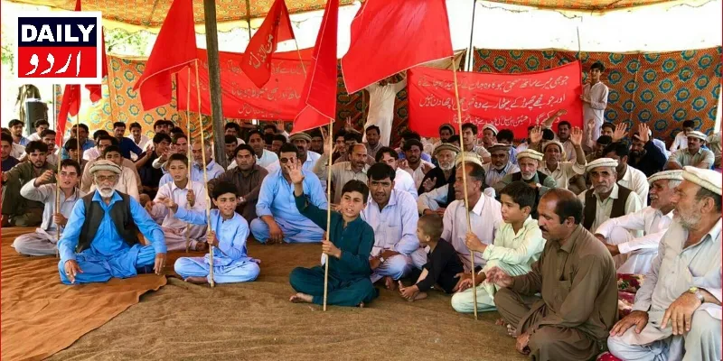 کرائمز