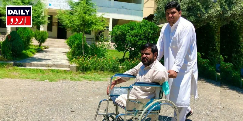 دہشتگردی