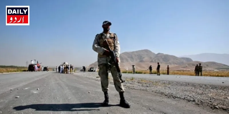 دہشتگردی